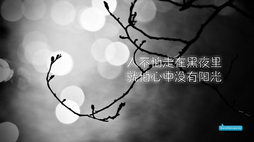 舞動(dòng)中原馨蕾?gòu)V場(chǎng)舞 次真拉姆 附分解教學(xué)和背面演示